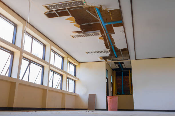 Best Water damage repair service  in New Lenox, IL