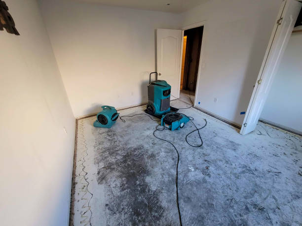 Best Local water damage restoration  in New Lenox, IL