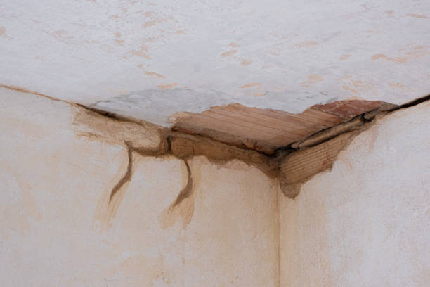 Best Flood damage cleanup  in New Lenox, IL