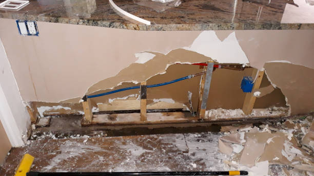 Best Water damage restoration near me  in New Lenox, IL