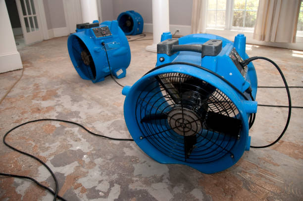 Best Carpet water damage restoration  in New Lenox, IL