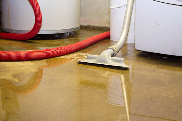 Best Water damage mitigation services  in New Lenox, IL