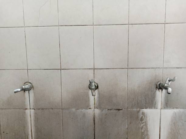 Best Water damage restoration mold remediation  in New Lenox, IL