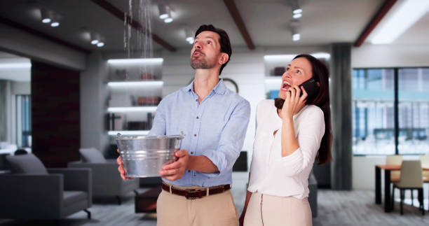  New Lenox, IL Water damage restoration Pros